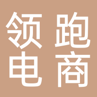领跑电子商务有限公司
