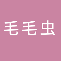 黄山毛毛虫文化传播有限公司