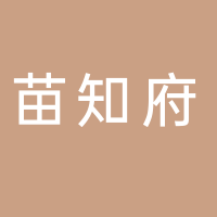 苗知府